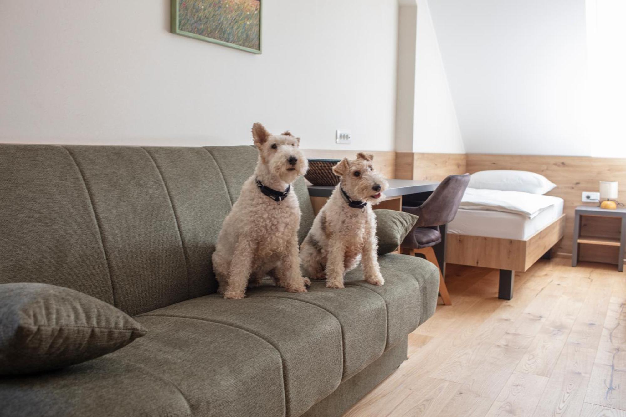 Guesthouse Tursic Vrhnika Ngoại thất bức ảnh